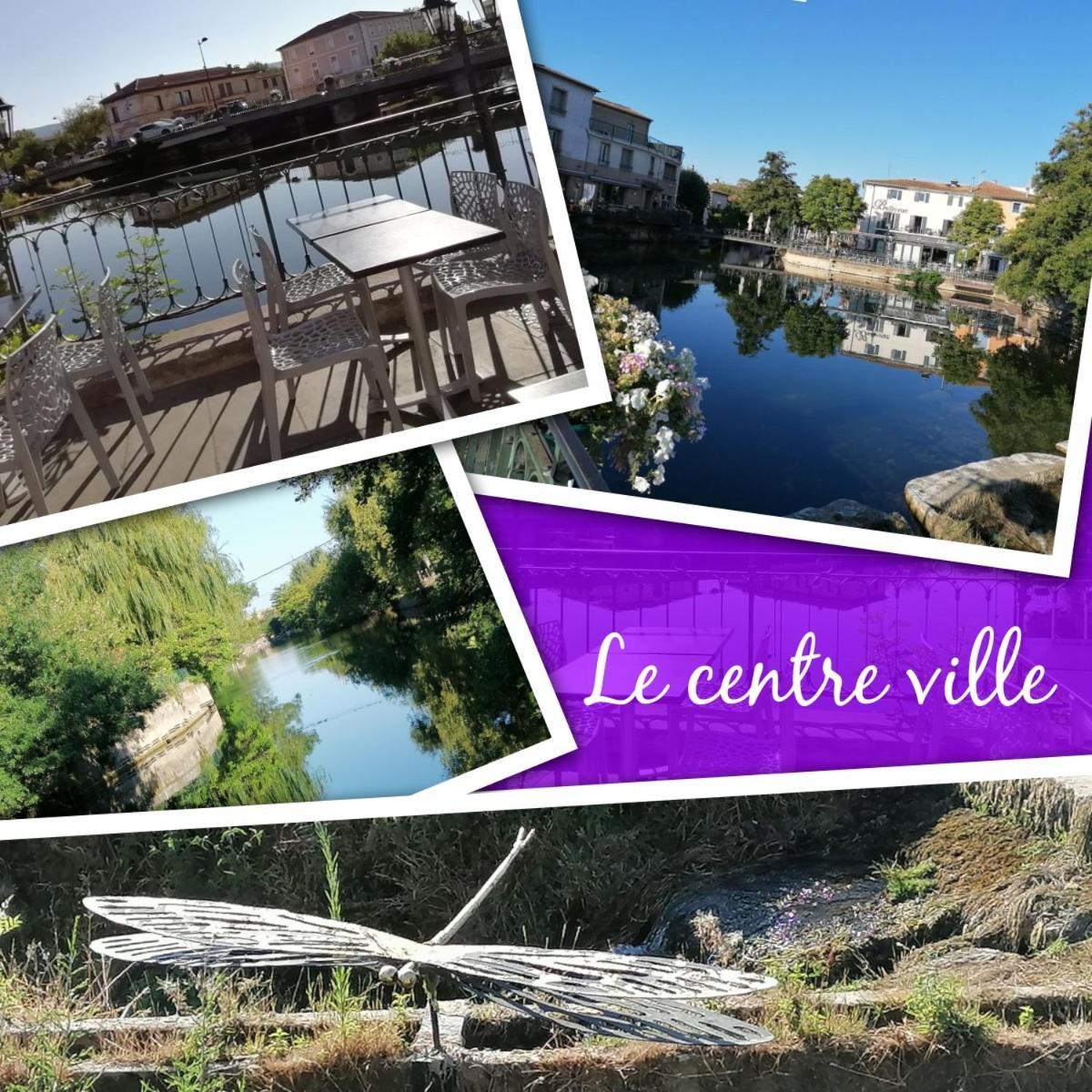 Gite Les Demoiselles Des Sorgues 索格岛 客房 照片